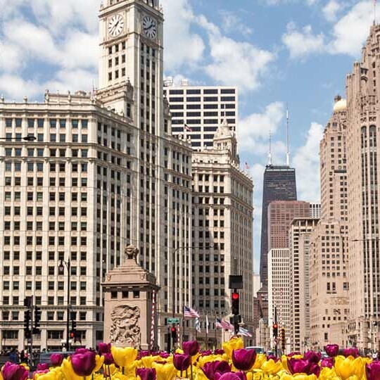 chicago-shutterstock-419035912-32zu9-1920x540px