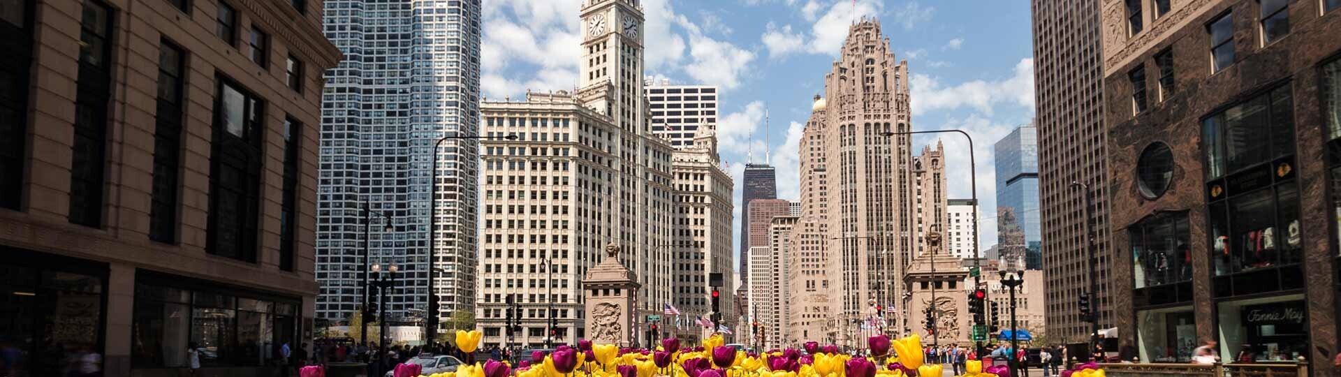 chicago-shutterstock-419035912-32zu9-1920x540px