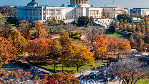 washington-shutterstock-2076991780-1zu1-576x576px