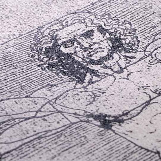 anatomie-leonardo-da-vinci-shutterstock-1672886845-32zu9-1920x540px
