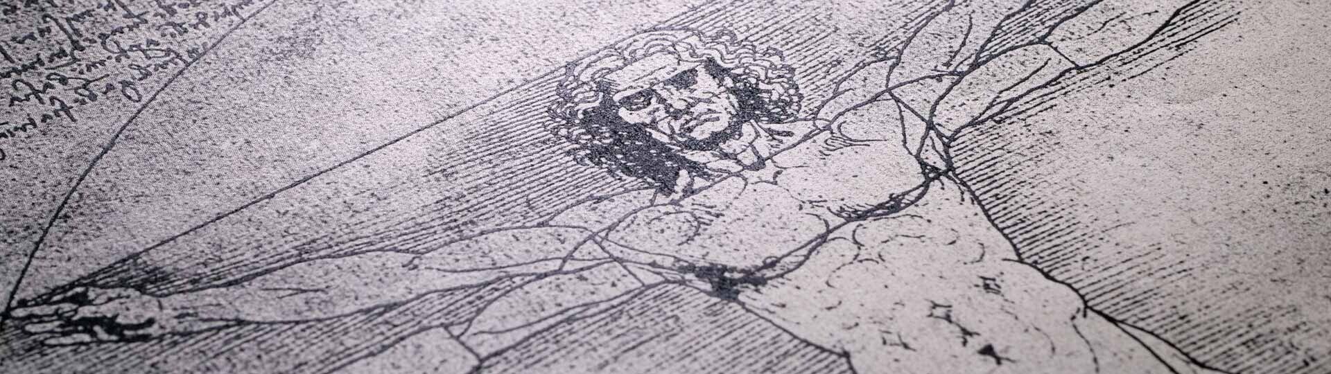 anatomie-leonardo-da-vinci-shutterstock-1672886845-32zu9-1920x540px