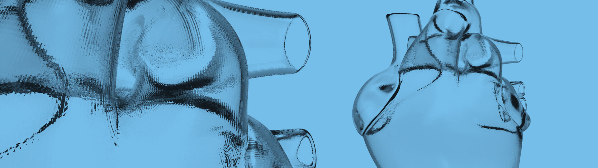 herzinsuffizienz-aufbaukurs-2024-32zu9-1920x540