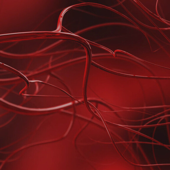 angiologie-arterien-shutterstock-1009280128-1zu1-576x576px-dunkler