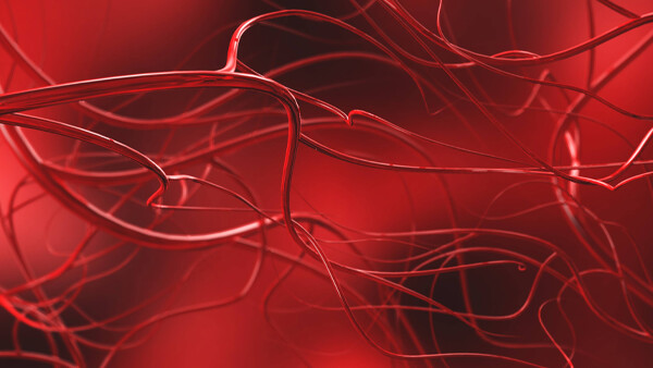 angiologie-shutterstock-1009280128-600x338px
