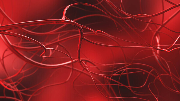 angiologie-shutterstock-1009280128-600x338px