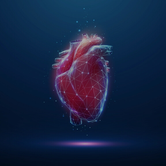 herzinsuffizienz-shutterstock-2324709281-1zu1-576x576px-dunkler