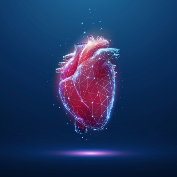 herzinsuffizienz-shutterstock-2324709281-1zu1-576x576px