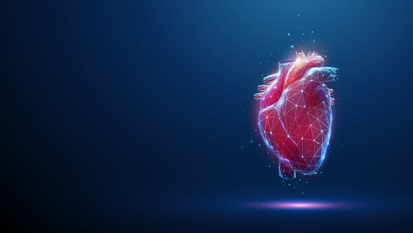 herzinsuffizienz-shutterstock-2324709281-600x338px