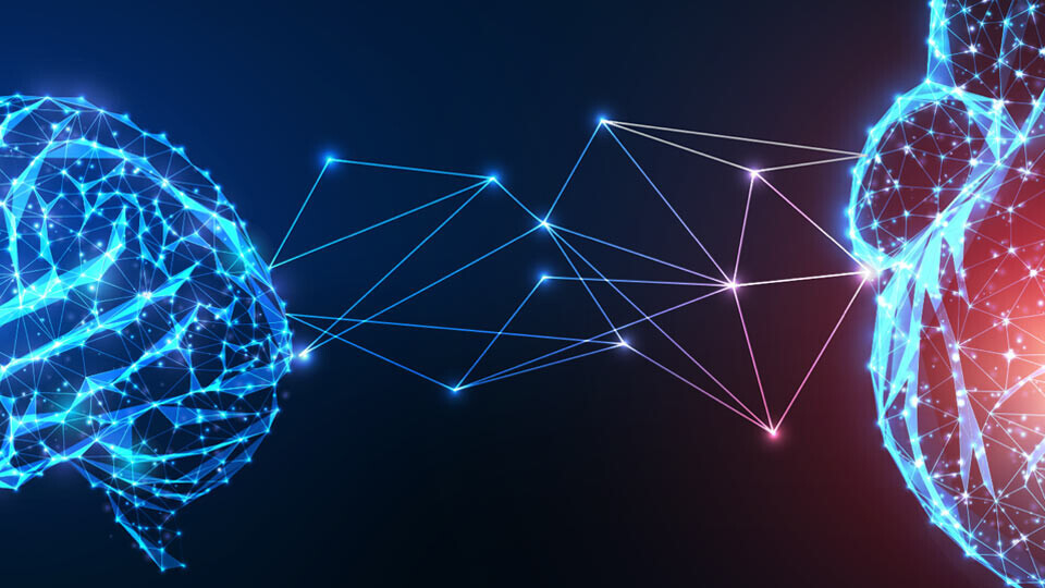 herzundhirn-shutterstock-1521357575-32zu9-1920x540px