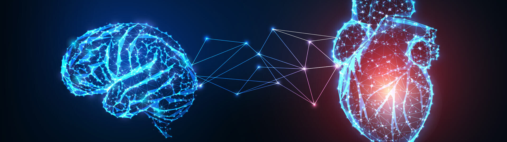 herzundhirn-shutterstock-1521357575-32zu9-1920x540px