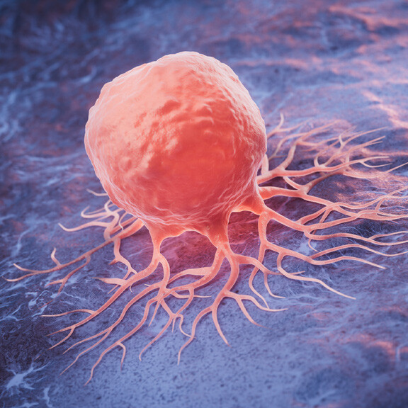 krebszelle-shutterstock-2481435043-1zu1-576x576px