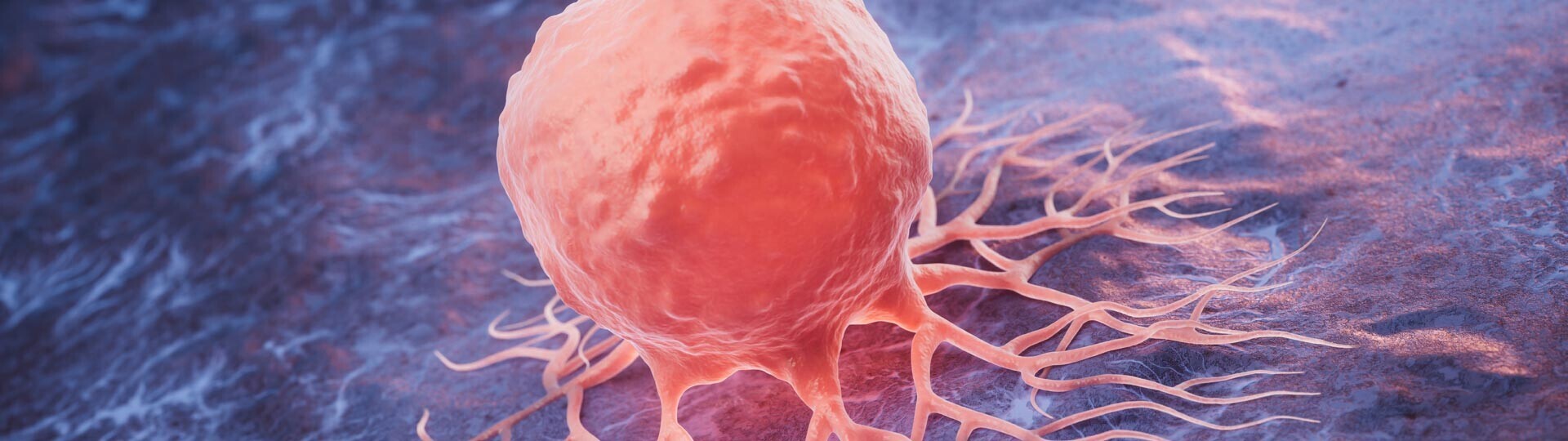 krebszelle-shutterstock-2481435043-32zu9-1920x540px