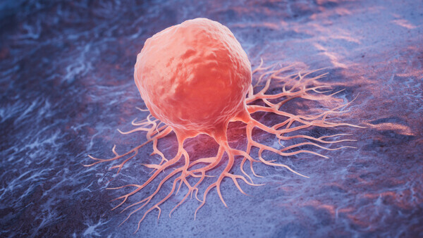 krebszelle-shutterstock-2481435043-co-Vink Fan-600x338px