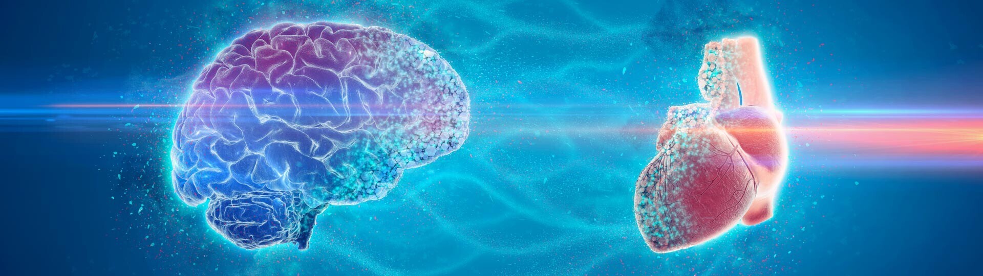 3D-gehirn-und-herz-emotionale-intelligenz-shutterstock-2252995763-32zu9-1920x540px