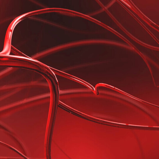 angiologie-arterien-shutterstock-1009280128-32zu9-1920x540px