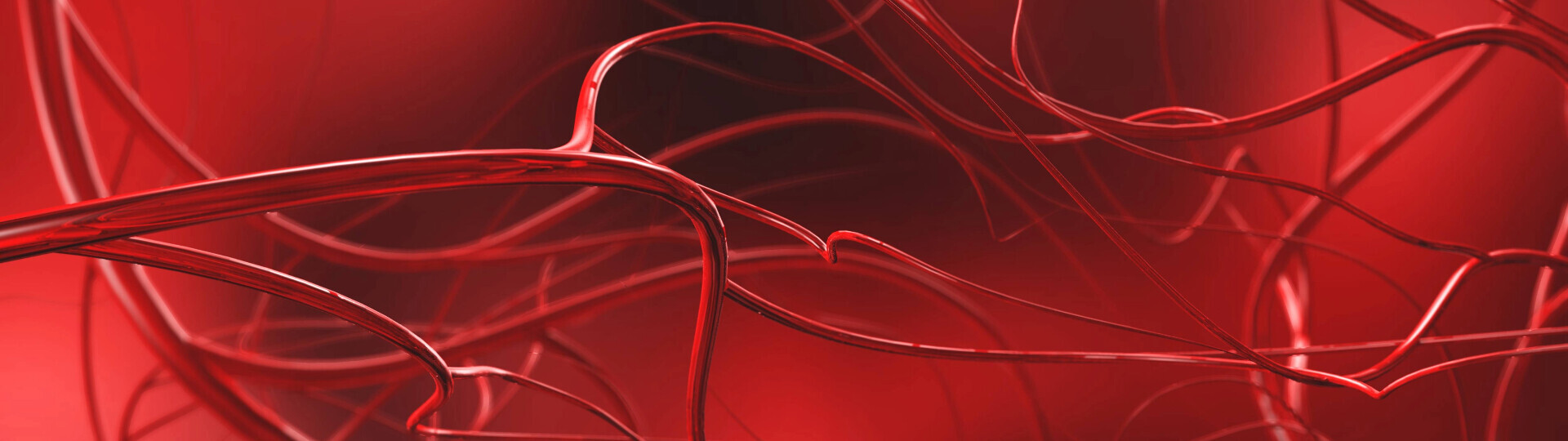 angiologie-arterien-shutterstock-1009280128-32zu9-1920x540px