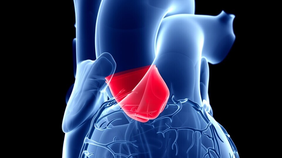 aortenklappe-herz-shutterstock-1482592676-32zu9-1920x540px