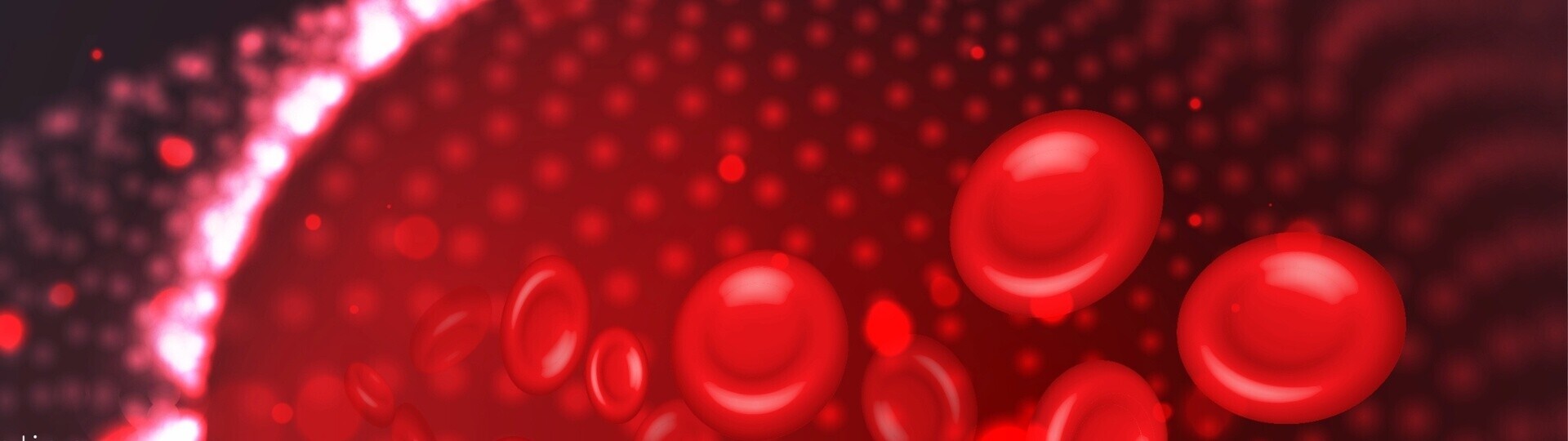 blutgefaess-erythrozyten-shutterstock-2076370474-32zu9-1920x540