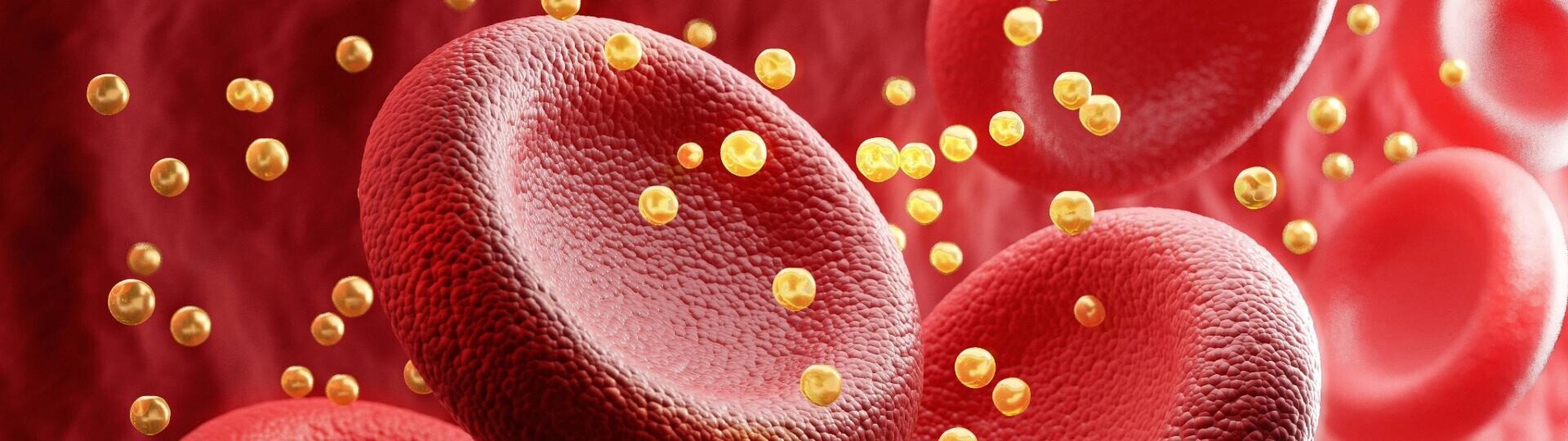 blutzellen-cholesterin-shutterstock-2267232269-32zu9-1920x540