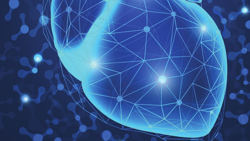 chronische-herzinsuffizienz-shutterstock-1063892213-1920x540a