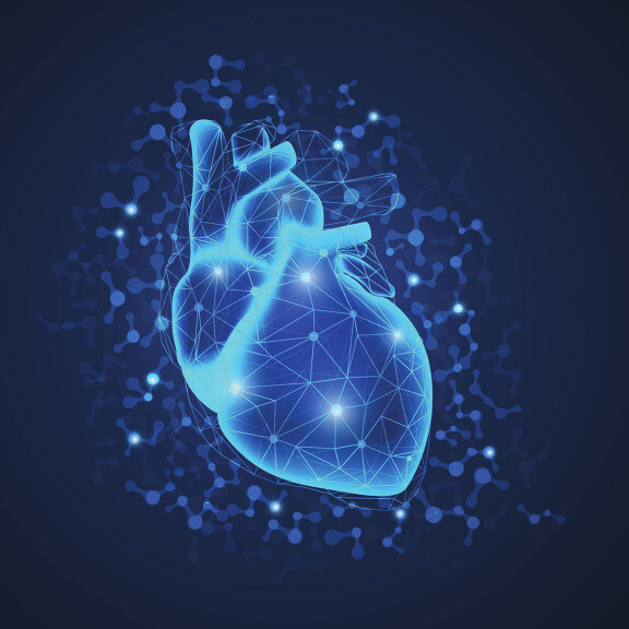 chronische-herzinsuffizienz-shutterstock-1063892213-576x576