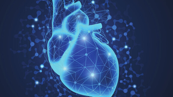 chronische-herzinsuffizienz-shutterstock-1063892213-576x576