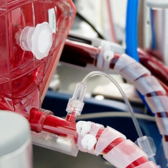 ecmo-behandlung-shutterstock-1131769253-1920x540