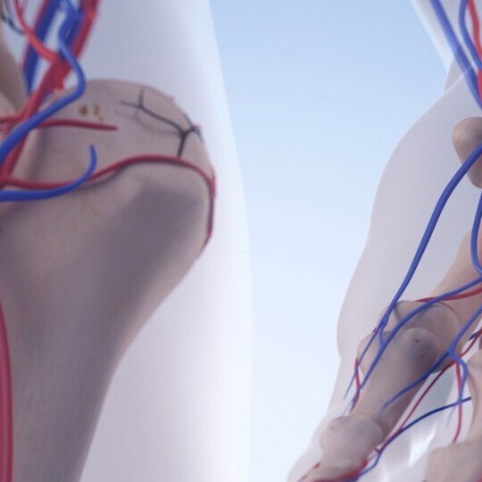 femoral-arterie-kreislauf-hand-shutterstock-312580790-32zu9-1920x540a