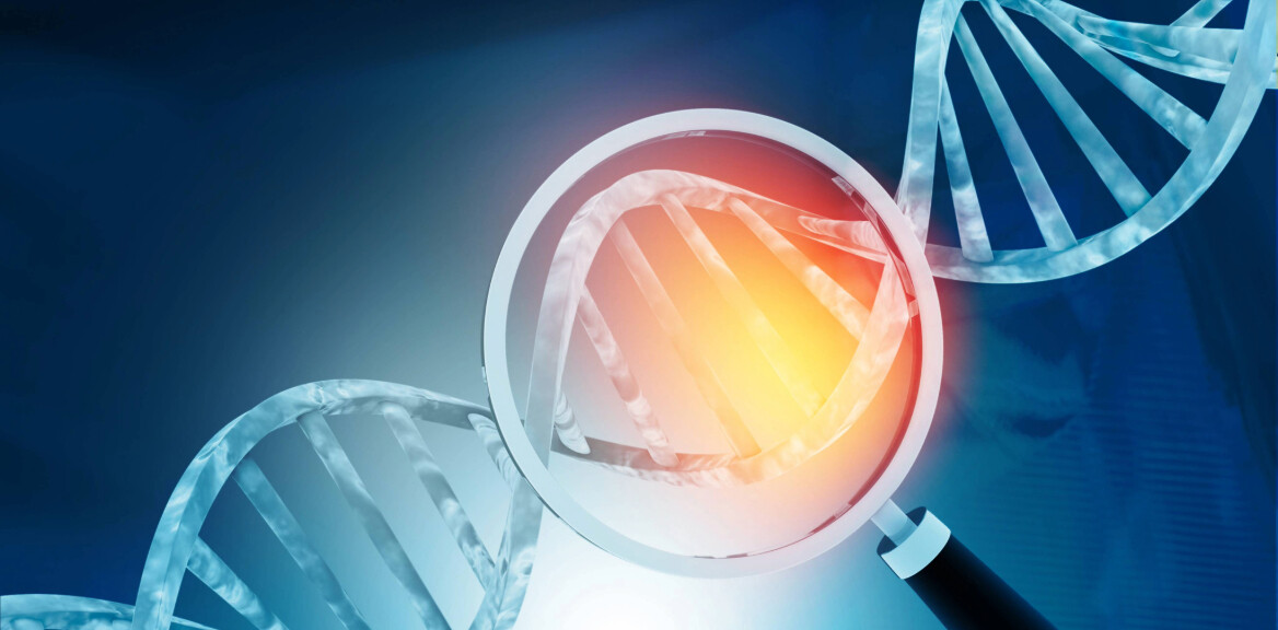 genetisches-screening-ausschnitt-shutterstock-1423098449-2zu1-1168x576