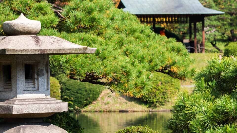 Herbst-shinjuku-park-tokyo-japan-shutterstock-1103821226-1920x540px