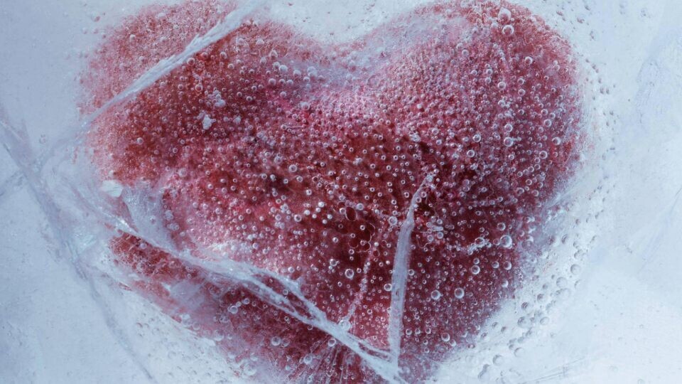 herz-eis-shutterstock-32zu9-1920x540