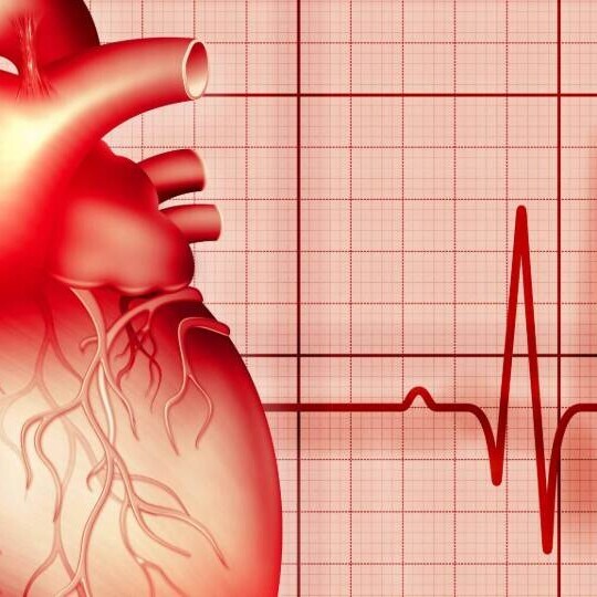 herz-ekg-shutterstock-1905995083-32zu9-1920x540