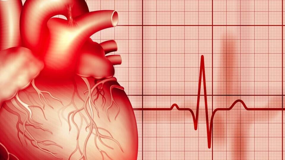 herz-ekg-shutterstock-1905995083-32zu9-1920x540