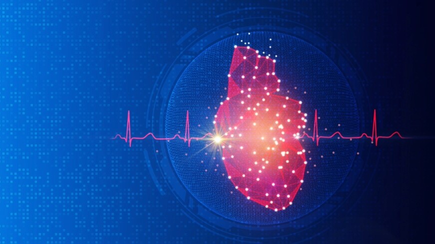 herz-ekg-shutterstock-2260076431-16zu9-871x490