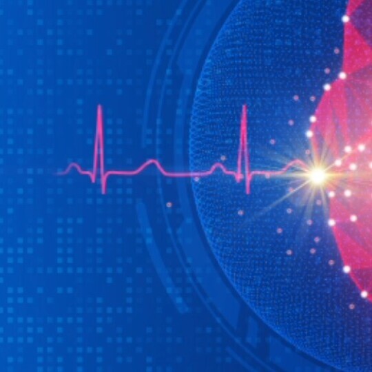 herz-ekg-shutterstock-2260076431-32zu9-1920x540