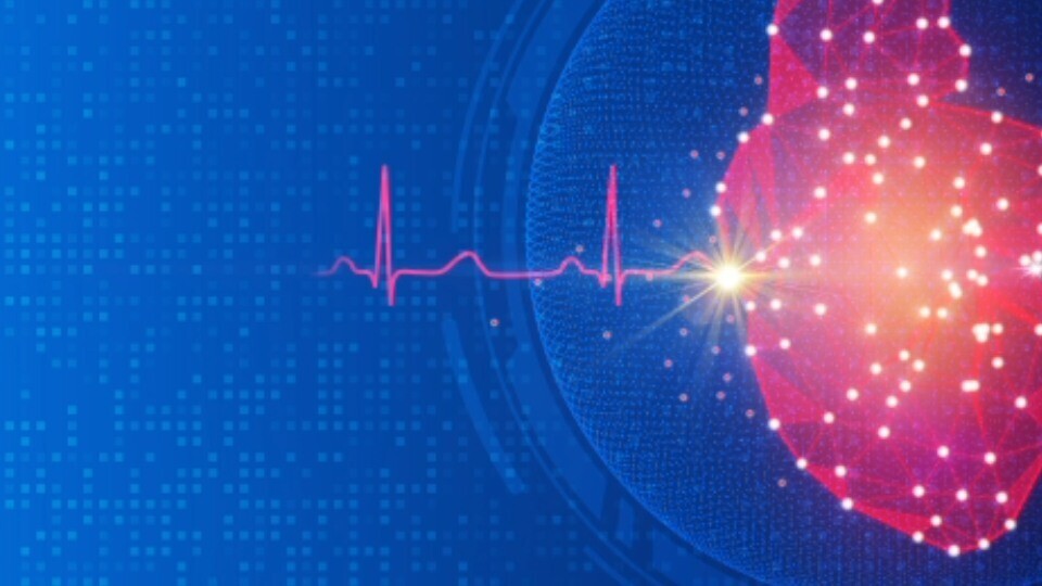 herz-ekg-shutterstock-2260076431-32zu9-1920x540