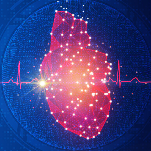 herz-ekg-shutterstock-2260076431-576x576px