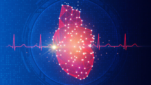 herz-ekg-shutterstock-2260076431-600x338px