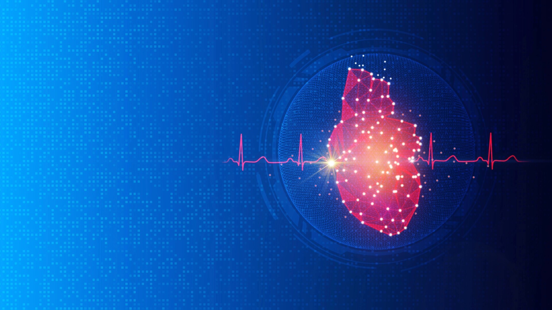 Herz und EKG