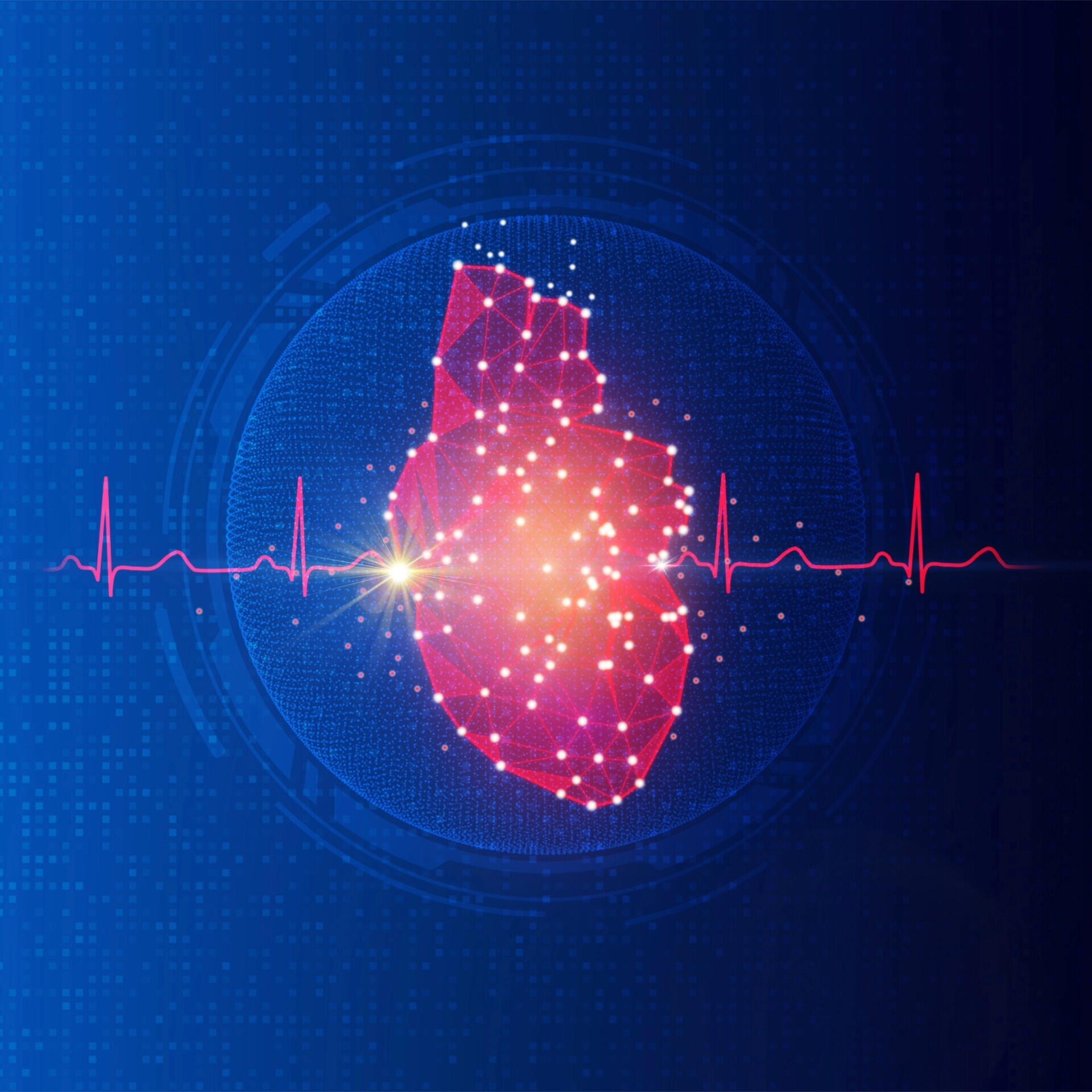 Herz und EKG