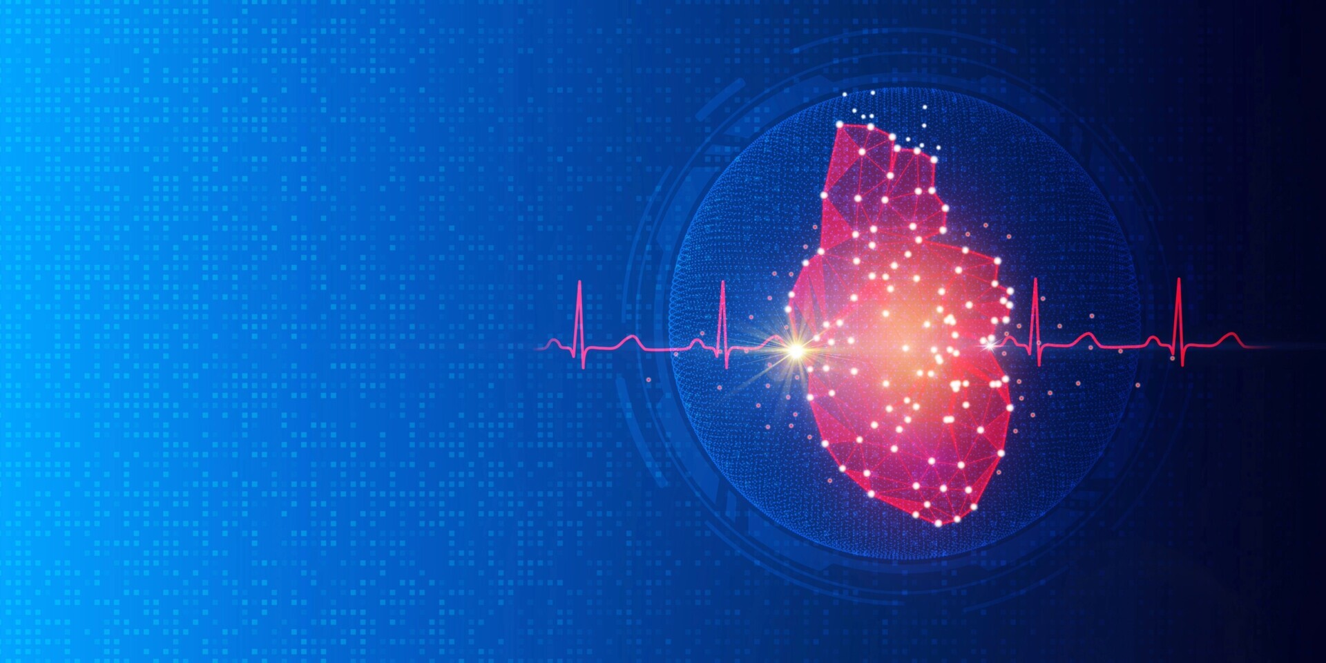 Herz und EKG