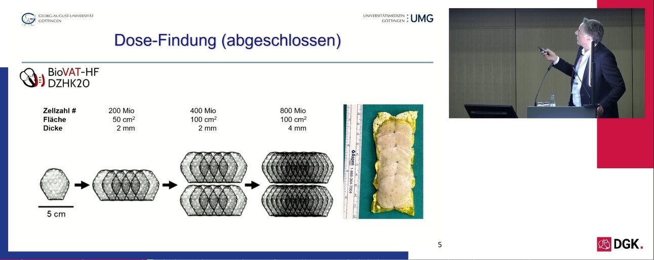 herz-pflaster-dosis-stufen