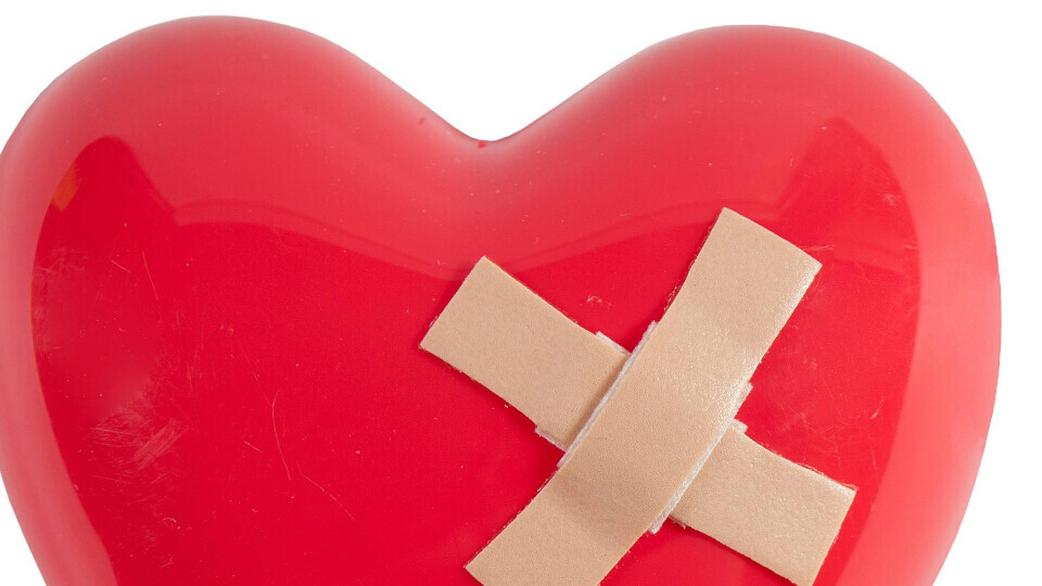 herz-pflaster-shutterstock-234119437-32zu9-1920x540