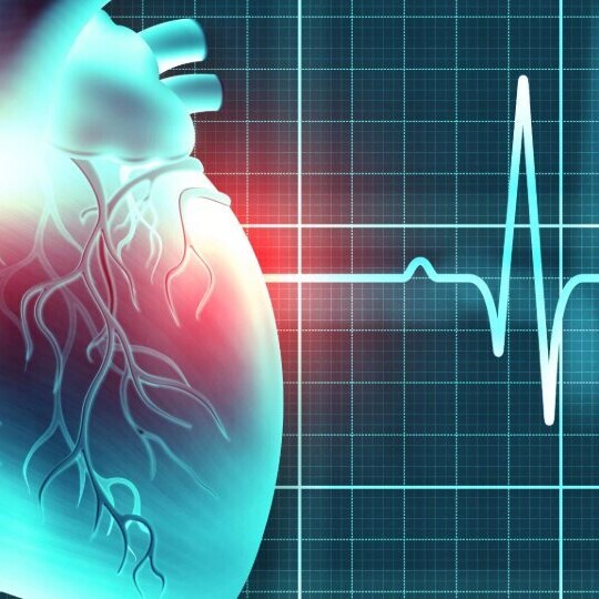 herz-rhythmologie-ekg-32zu9-1920x540