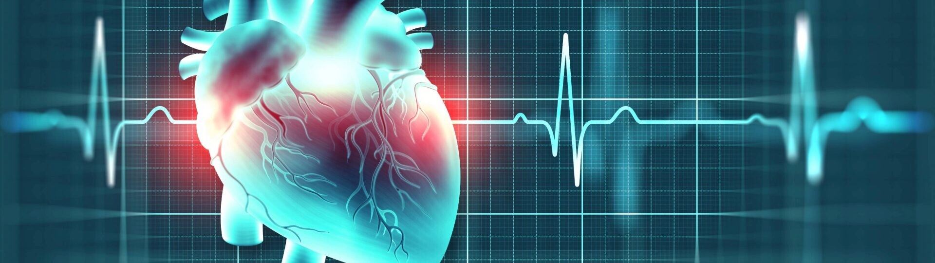 herz-rhythmologie-ekg-32zu9-1920x540
