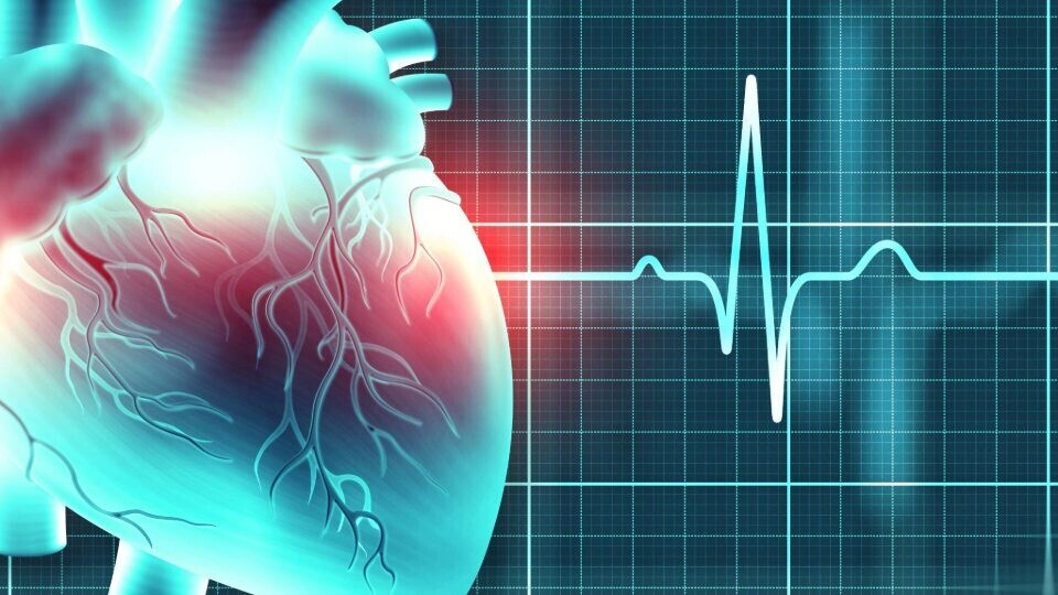 herz-rhythmologie-ekg-32zu9-1920x540