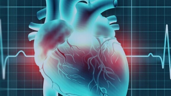 herz-rhythmologie-ekg-shutterstock-1906965034-1zu1-576x576-dunkel