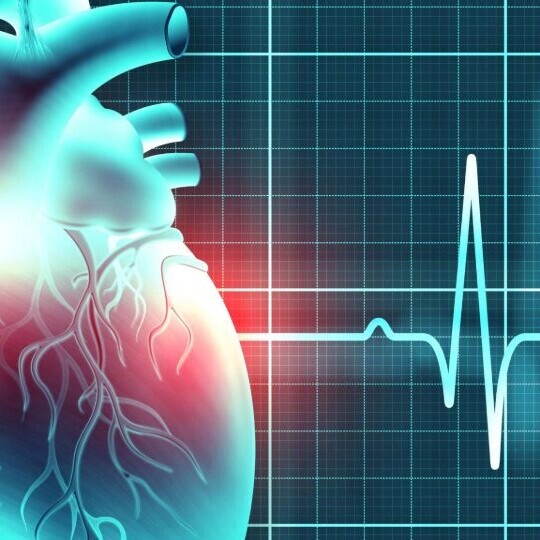 herz-rhythmologie-ekg-shutterstock-1906965034-32zu9-1920x540