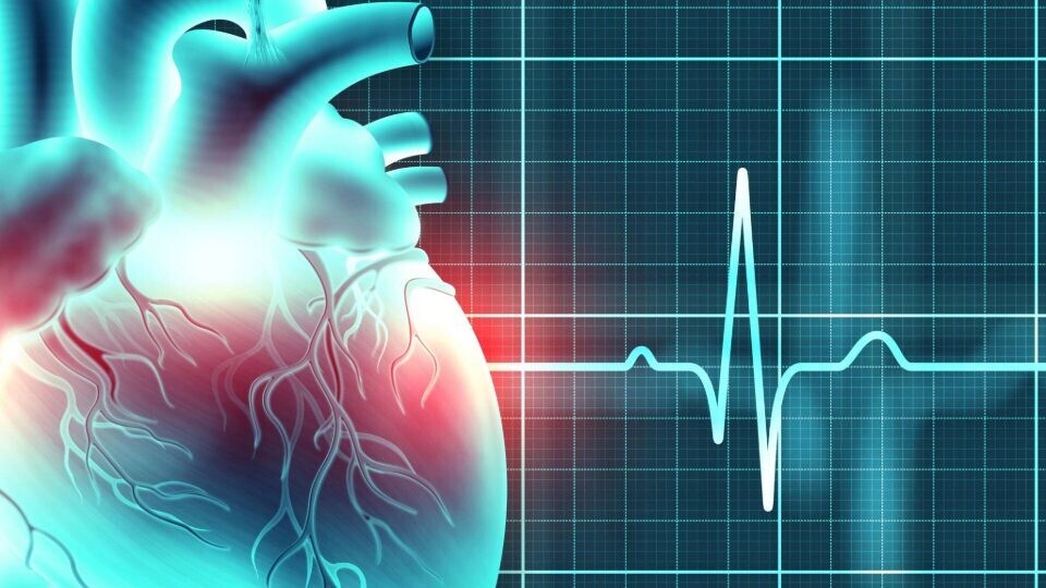 herz-rhythmologie-ekg-shutterstock-1906965034-32zu9-1920x540