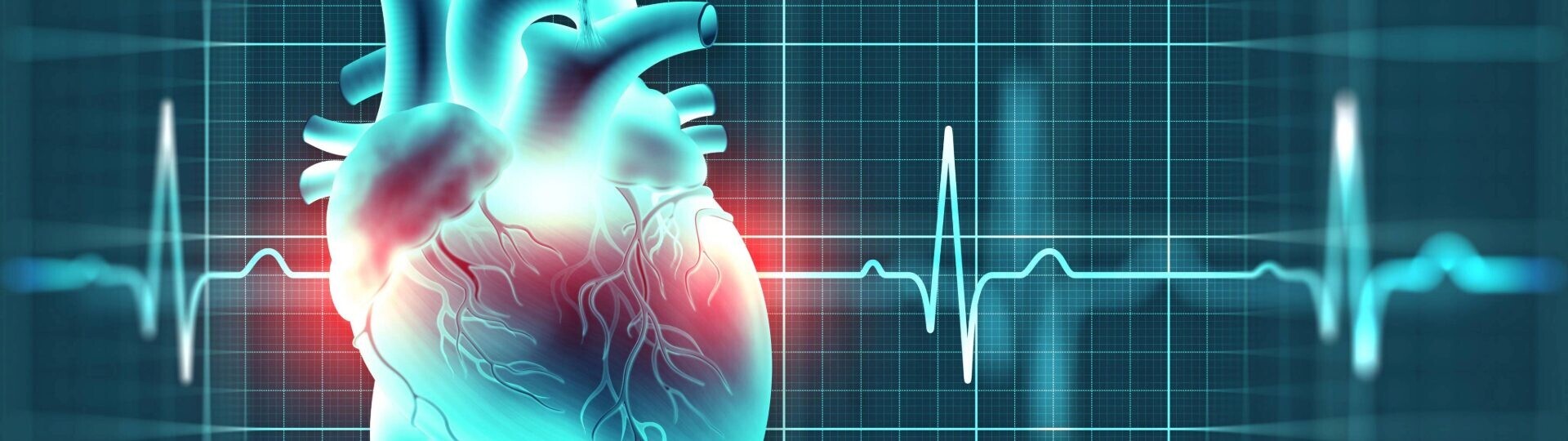 herz-rhythmologie-ekg-shutterstock-1906965034-32zu9-1920x540